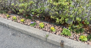 IMG_5602.jpeg